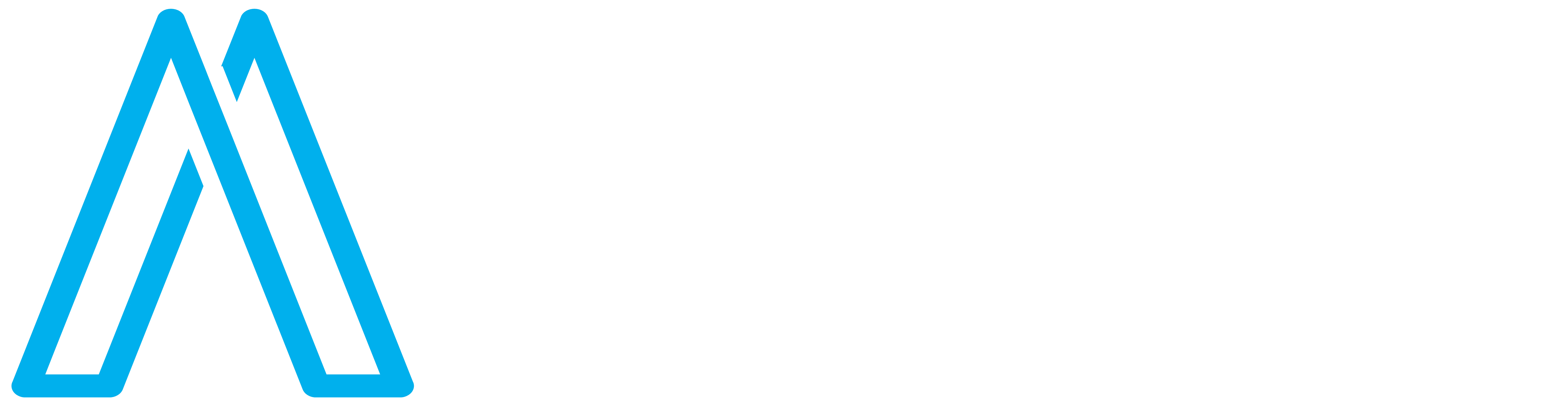 Alias Yazılım ve Bilgi Teknolojileri Logo